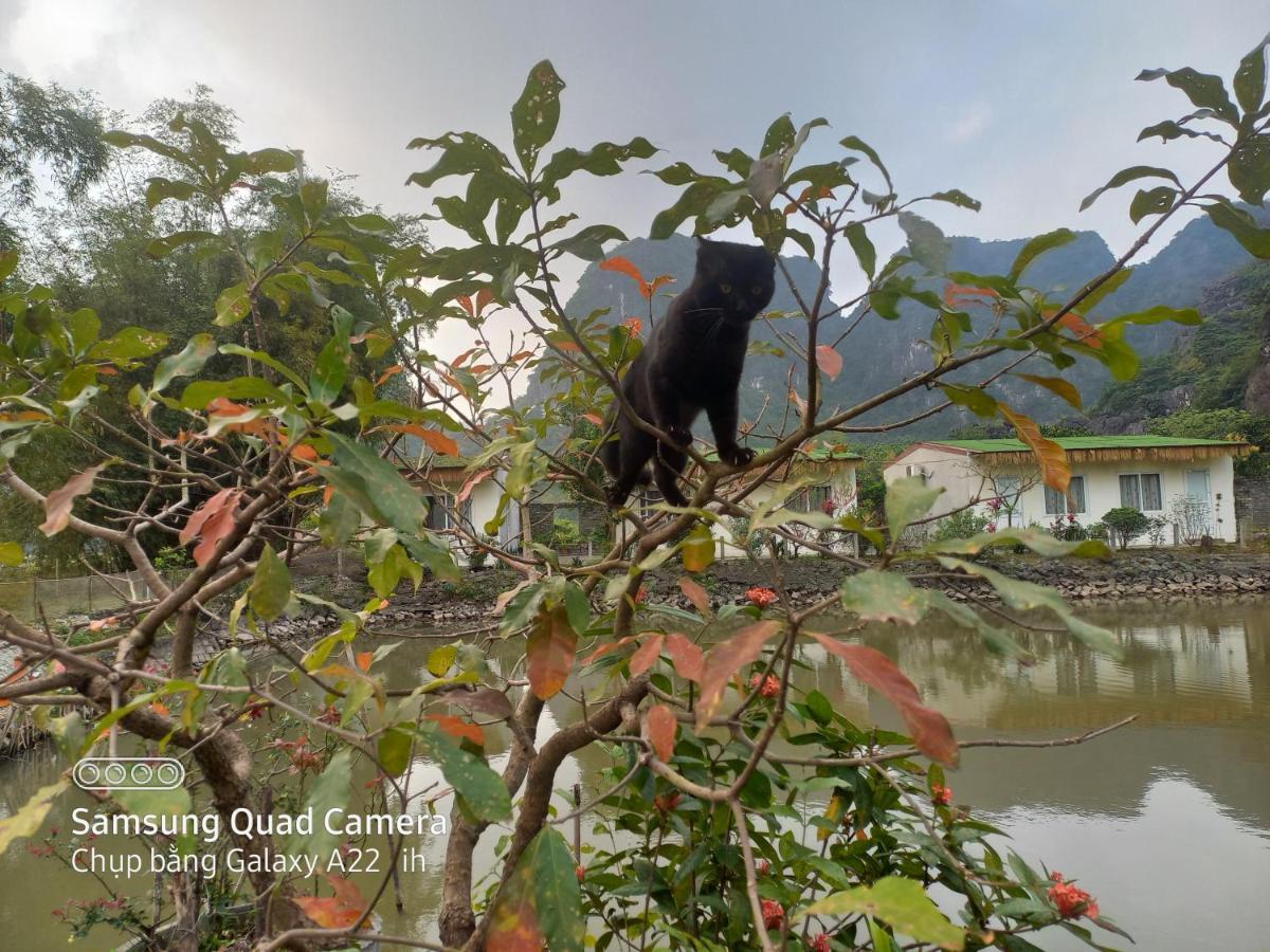 Trang An Pristine View Homestay Ninh Binh Exterior foto